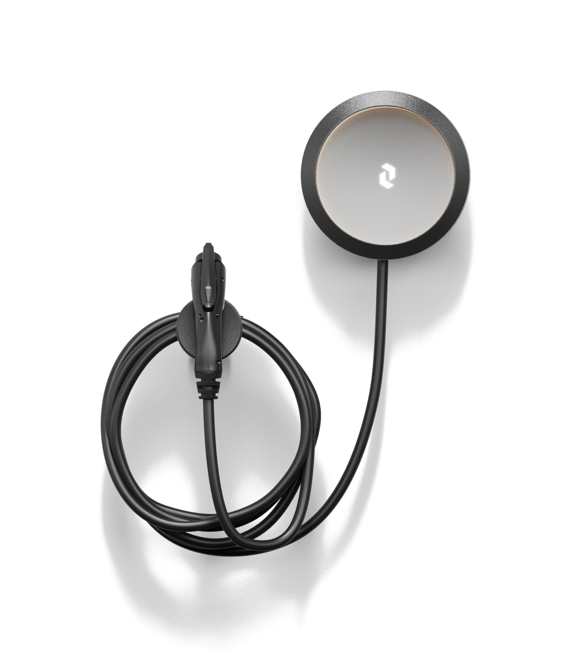 Cove Black Transparent